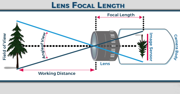 focal-length01.jpg